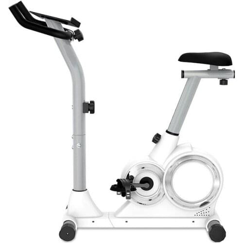 Spinning Bike Adult Silent Home Exercise Bike Smart Fitness Equipment Indoor Weight Loss Adjustable Pedal Bike Sports Magnetron