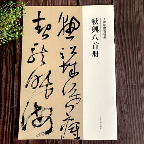Chinese Calligraphy Rubbings Copybook Wang Duo Cao Shu Shu Fa Imitating Copy Book 34pages