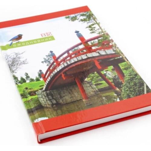 ЮниПресс Diaries A5