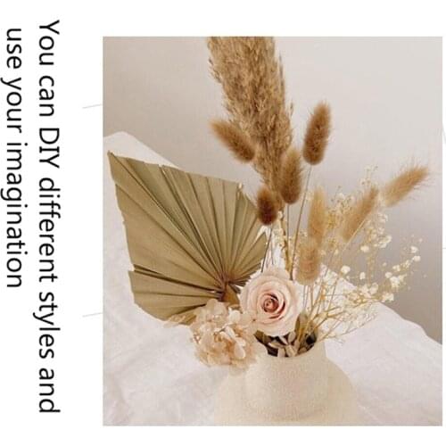 1PCS Palm Fan Leaf Dried Flower Palm Leaf Window Reception Party Art Wall Hanging Decoration Wedding Arch Arrangement