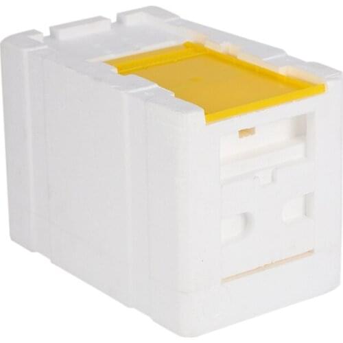 Practical Bee Hive Beekeeping King Box Pollination Box Foam Frames Beekeeping Tool Kit