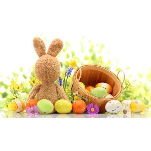 VinylBDS 7X5FT Easter Photography Backdrops Flower Egg Frames Fundo Fotografico Easter Day ZJ