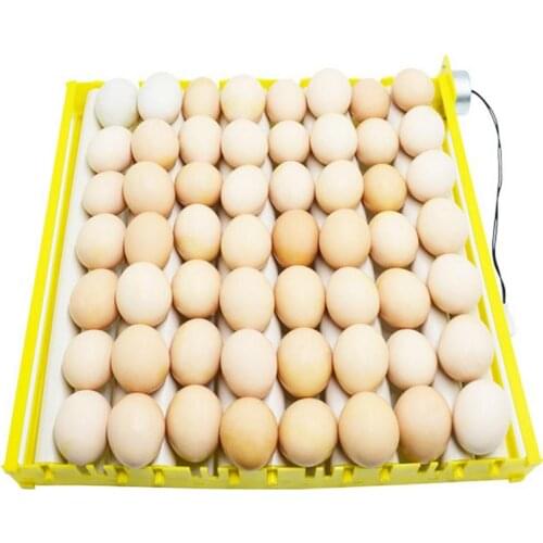 56 Eggs Mini Incubator Hatcher Automatic Egg Turning Tray Tool with Motor Egg Incubators Ducks Goose Birds 220v/110v/12v