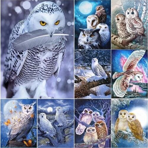Diamond Painting Owl Animals birds 5D DIY Full drill Mosaic embroidery Cross Stitch Kits Handmade Home Decor art picture Gift
