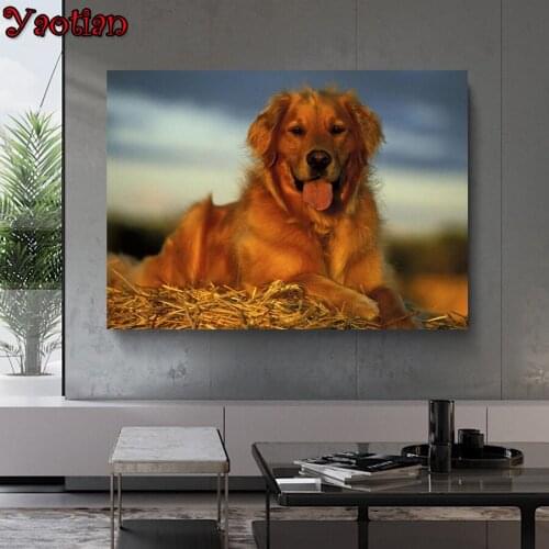 FULL 5D DIY Diamond Painting Cross Stitch kit Golden Retriever 3D Square Round Diamond Embroidery mosaic pattern Home Decor
