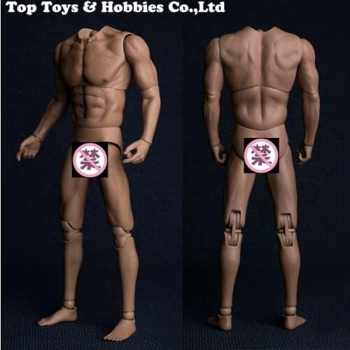 1/6 Scale Male Body AT017 Wide Shoulder Strong Figure Model No Neck 12'' Action Figure Doll