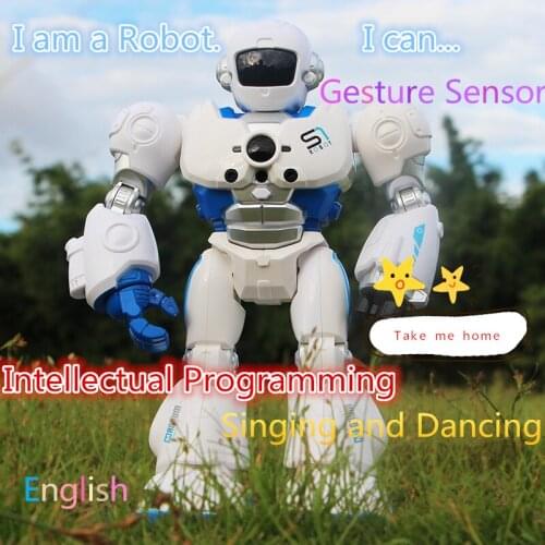 Hot Sale 29cm USB Charging Singing Dancing Gesture Programming Control RC Robot Toy Blue Pink For Kids Children Gift Presents