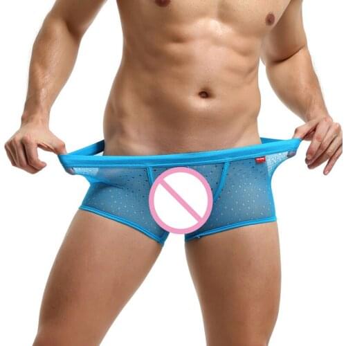 Mens Underwear Penis Pouch Sheer Boxer Shorts Low Rise Underpants Breathable Male Panties Boxers Trunks Men Lingerie Sleepwear