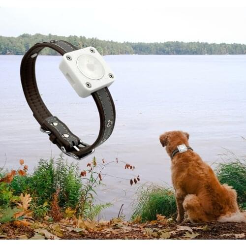 Suitable for Pet Collar Mounting Bracket with Collar Width Less Than 20mm Suitable for AirTag Locator Mounting Bracket