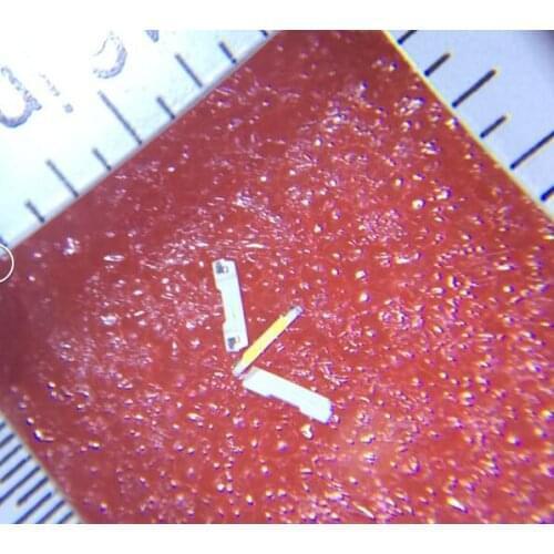 010 White 29LM Super bright SMD LED 3000pcs led beads