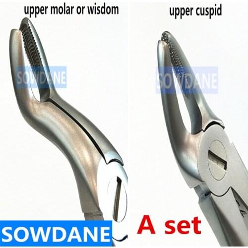 Stainless Steel Dental Tooth Extraction Forceps Adults Teeth Extracting Pliers Forcep Surgical Toothdental Instrument