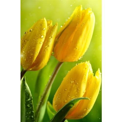 Full Square 5D DIY Diamond embroidery landscape Flower Rose Lotus Diamond Painting Cross Stitch Mosaic Unfinished Decor