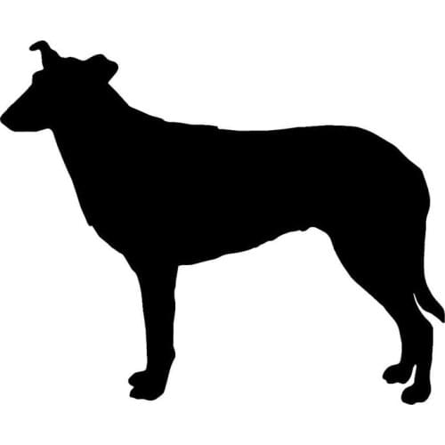 15.5*12.7CM Smooth Collie Pet Dog Car Sticker Cute Cartoon Animal Body Decals Decorative Accessories C6-0578