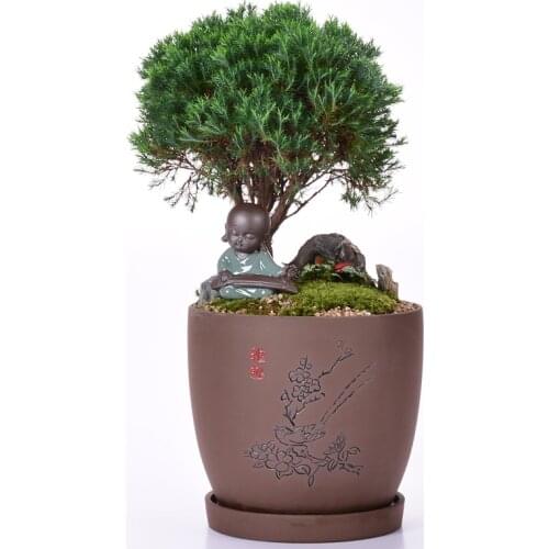 Purple Sand Handmade Exquisite Flowerpot Ceramic Clivia Creative Bonsai Pot Fortune Tree Wenzhu Orchid Basin Succulent Vase