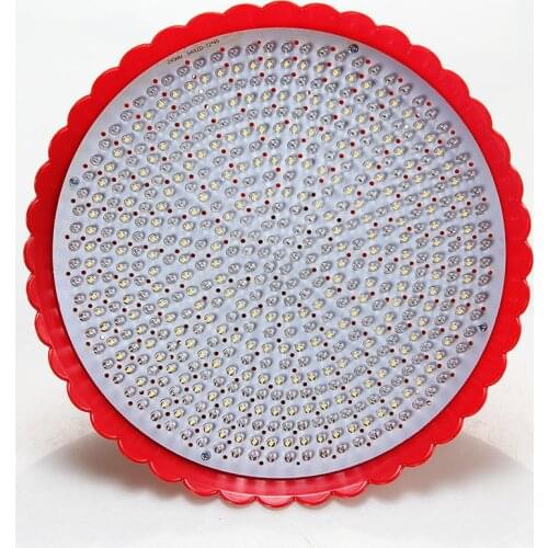 E27 Led fresh pork light dish cooked food vegetables fruit seafood light photo meat lamp