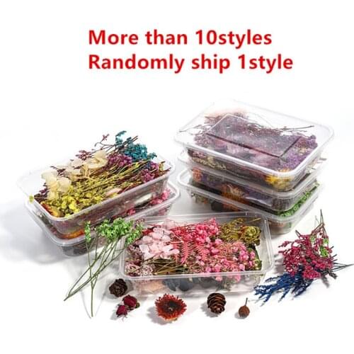 1 Box Dried Flower DIY Accessory Aromatherapy Candle Epoxy Resin Pendant Craft
