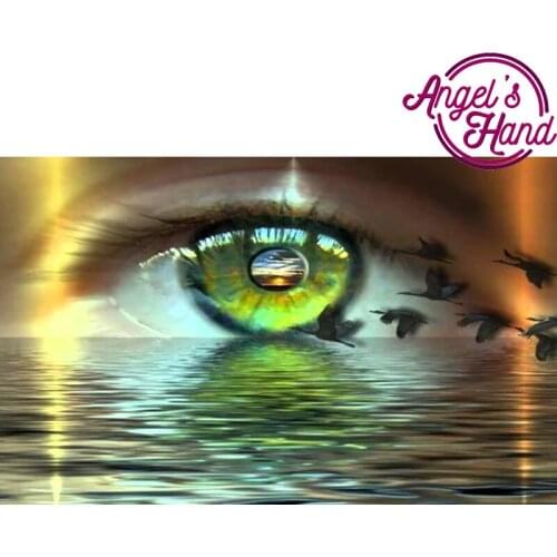 5d diy diamond embroidery full square&round drill 5d crane diamond painting beautiful eyes Cross Stitch mosaic home decoration