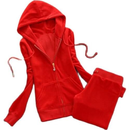 2020 Spring/Fall Womens Brand Velvet Fabric Tracksuits Velour Suit Women Track Suit Hoodies And Pants fat sister sportswear