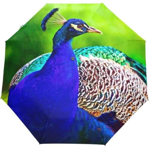Purple Peacock Printed Automatic Umbrella Wind Resistant Folding Automatic Umbrella Male Auto Luxury Big Windproof Umbrellas