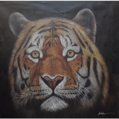 Origina HandPainted Animal Oil Painting on Canvas Palette Knife Net Shape Tiger Canvas Painting Wall Art Picture for Home Decor