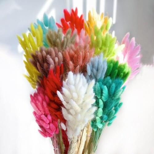 10Pcs, Rabbit Tail Grass Natural Dried Flowers White Black Pampas Grass Real Dry Flower Bouquet Wedding Marriage Decoration