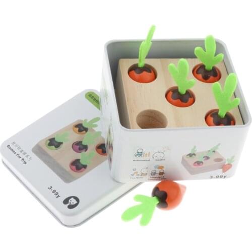 Wooden Insects Catch Toys Educational Toy Developmental Toys