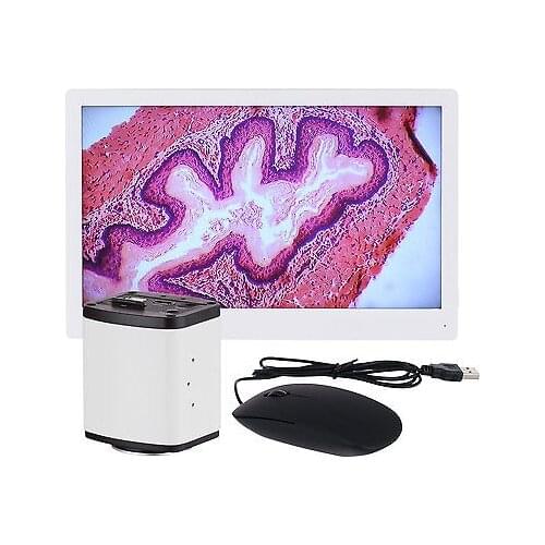 AmScope HD1080A-HDM 1080p HDMI Microscope C-mount Camera + HD Monitor