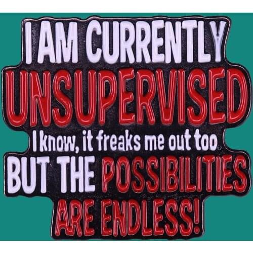 I Am Currently Unsupervised, I Know, But The Possibilities Are Endless Lapel Enamel Pins Brooch Collecting Cartoon Metal Badges