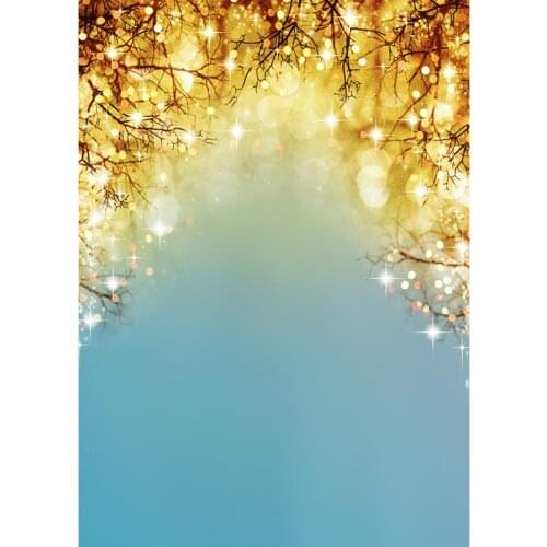 Vinyl Custom Photography Backdrops Prop Facula Light Spot Theme Photography Background LCJD-32