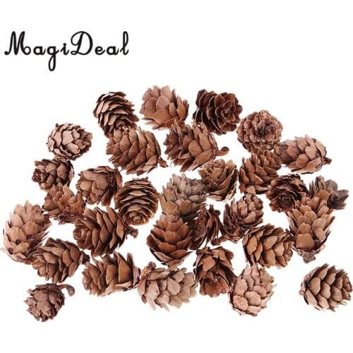 30 Pieces Mini Small Natural Dried Pine Cones In Bulk Dried Flowers for Christmas Decoration or Crafting