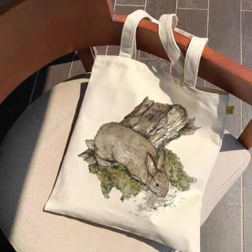 Rabbit Canvas bag for Women fashion large capacity fun tote bag anime Harajuku female shopper bag cartoon hand bags for Ladies