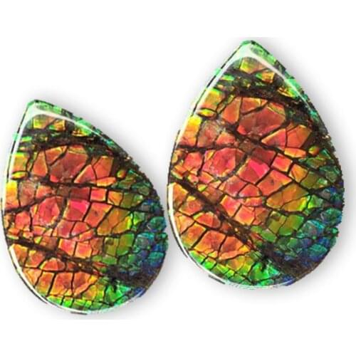 Retro Genuine Canadian Natural Ammolite Bare Stone Gemstone Fossil DIY Mosaic Ring Necklace Earrings Jewelry Crafts Decorate