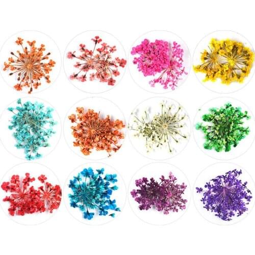 2sets Real Dried Flower sticker for Manicure Nail Art Decoration Nail Sticker