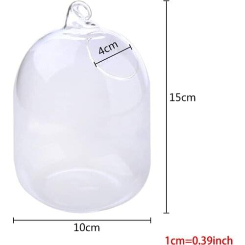 Suspended Transparent Hanging Glass Fish Tank Infusion Bottle Aquarium Flower Pl HX6D