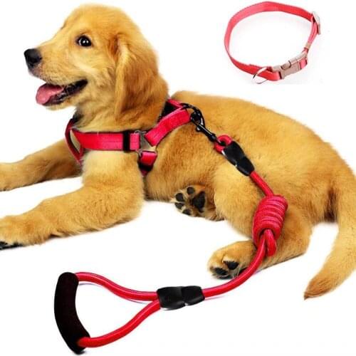 Dog Traction Leash Dog Chest Strap Dogs Collar Three-Piece Suit Thick wear-Resistant Suitable for Medium and Small Dogs