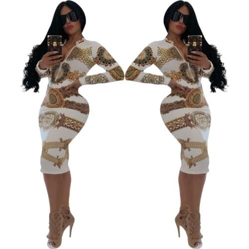 Zoctuo Women Sexy 2019 Winter Dress Printed Zipper O neck Long Sleeve Elastic Waist Pullover Milk Silk Night Club Dress