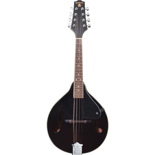 Extreme Stringed Instruments