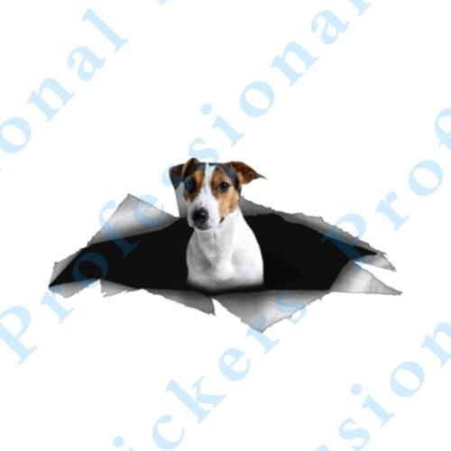 3D Animal 13 x 4.8 3D Pet Graphic Vinyl Decal Car Decoration Motorcycle Laptop Vinyl Car Stickers Jar Jar Binks Decal