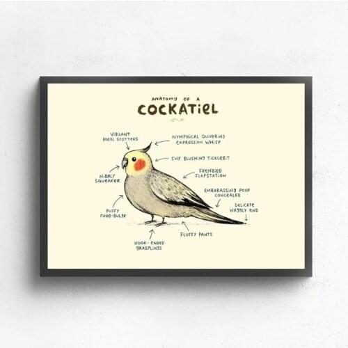 Prints Painting Wall Art Cockatiel Parrot Modular Canvas Bird Poster Picture Animal Modern Nordic Home Decor Bedside Background