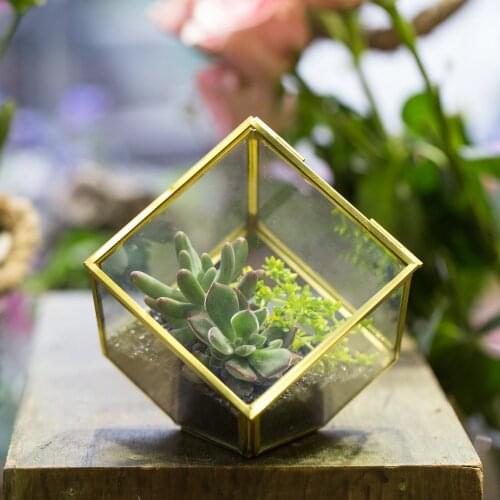 3.9inches Copper Brass Squares Inclined Cube Clear Glass Geometric Terrarium Box for Succulent Plant Moss Planter with Swing Lid