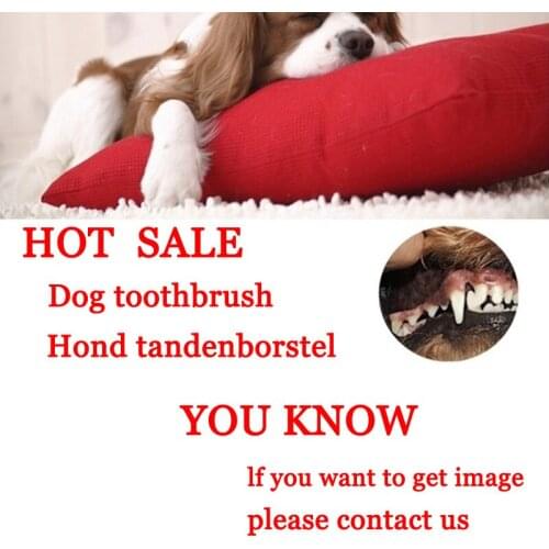 Dog toothbrush pet toy pet dog chewing toy plush dog small toothbrush dental care supplies cleaning supplies oral Dog Brush