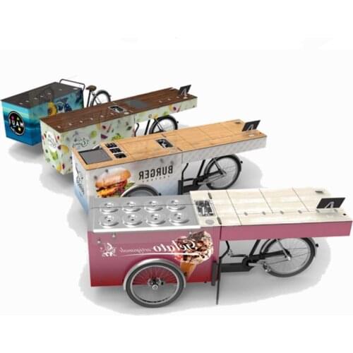 350w Electric Bicycle Pedal Spinning Bike Foldable Cabinet Food Vending Cart Electric Tricycle Cargo Bike Free Shipping by Sea