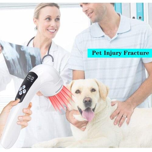 Unsting Pain Relief New 808nm with 650nm Infrared Laser Prostate Treatment Physiotherapy of Physiological Pain