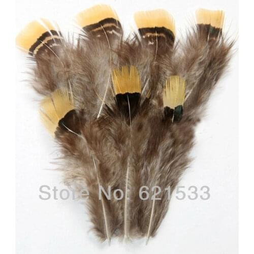 200Pcs/Lot 5-7cm Loose Beautiful Rare Lady Amherst Pheasant Plumage Feathers with Bright Yellow Tips