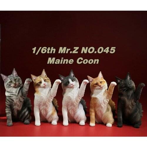 1/6 Mr.Z MRZ045 Maine Coon Resin Cat Animal Pet Collectible Statue Model Toys
