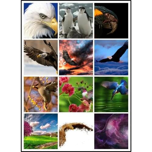 LIPHISFUN Diamond Painting Embroidery Cross Stitch Full Drill Home Decor Square/round Eagle Bird Penguin