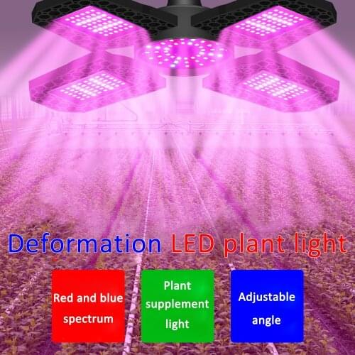 AotaoGO Plant Lamps