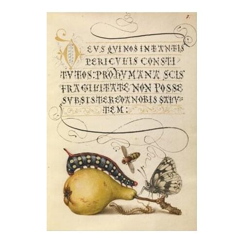 Free shipping pastoral vintage text pear insect oil painting canvas prints printed on canvas home wall art decoration picture