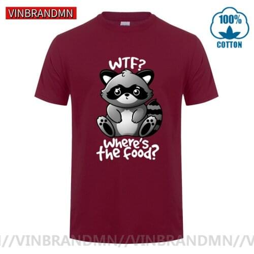2020 New summer Kawaii coon tshirt Funny cute panda whats the food T-shirt WTF raccoon T shirt boy kid chibi thief ringtail Tee