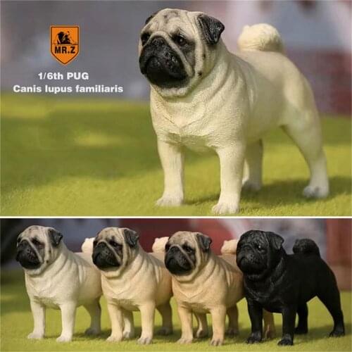 Mr.Z Studio 1:6 Pug Dog Pet Healing Figure Canidae Animal Model Toy Collector Desktop Decor Adult Simulation Pet Gift Collection
